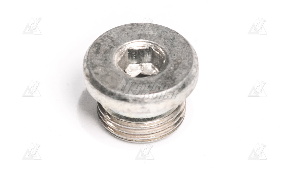 Заглушка SOCKET PLUG PF3/4" DF03C-0020 картинка
